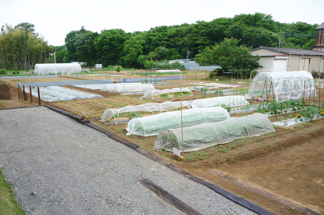 ばんどう農園